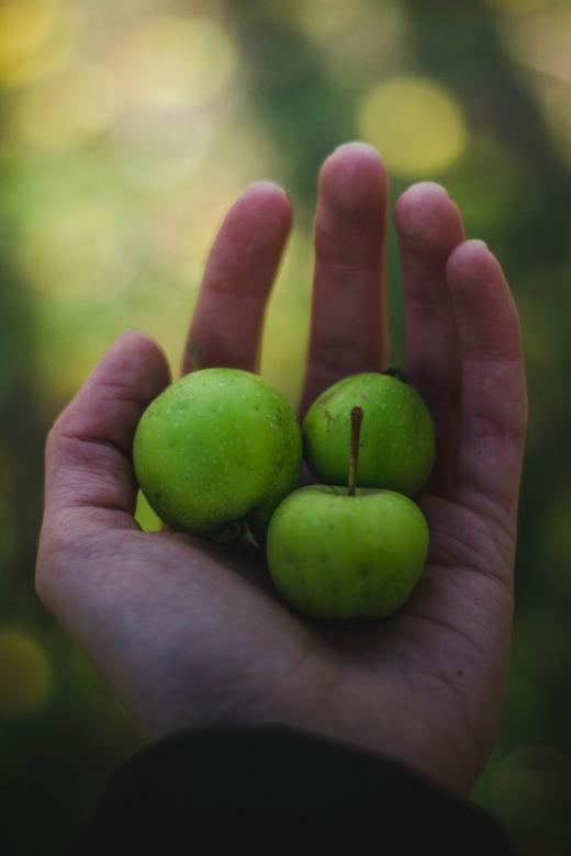 Free stock image of Fresh Fruit in Hand created by Pixabay