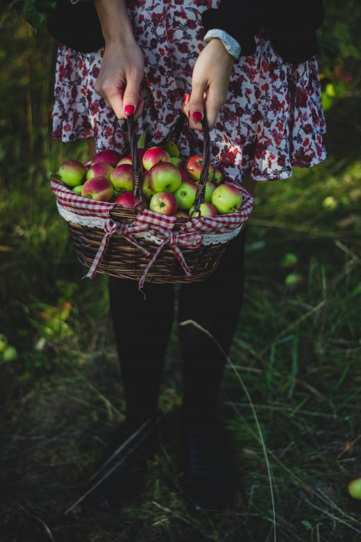 Free stock image of Basket full of apples created by Pixabay