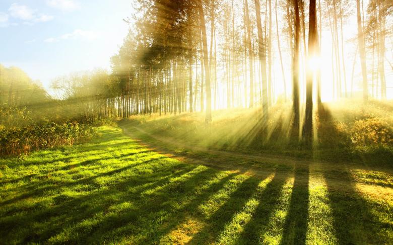 Free stock image of Nature created by Pixabay