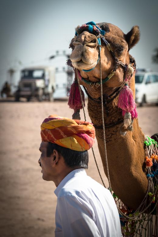 Free stock image of Camel created by Pixabay