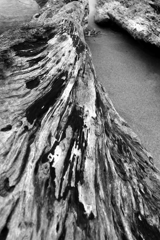 Free stock image of Old Wood created by Pixabay