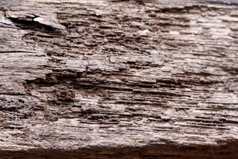 Free stock image of Wood created by Pixabay