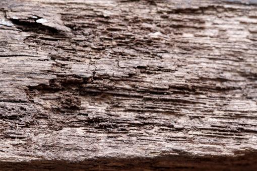 Free Stock Photo of Wood