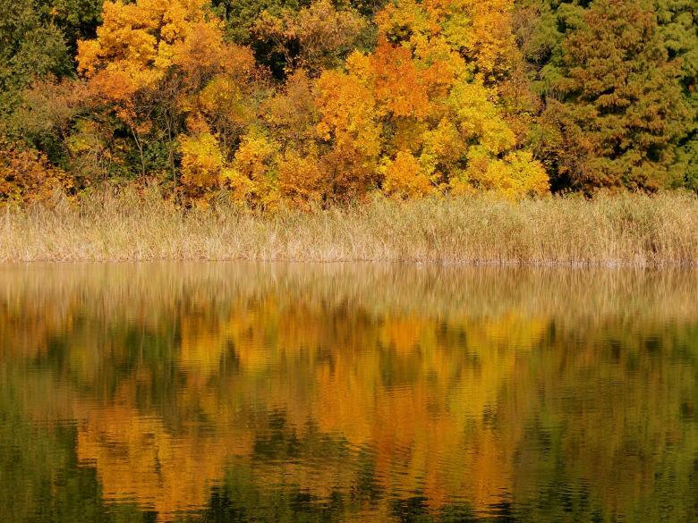 Free stock image of Mirror Effect created by Pixabay