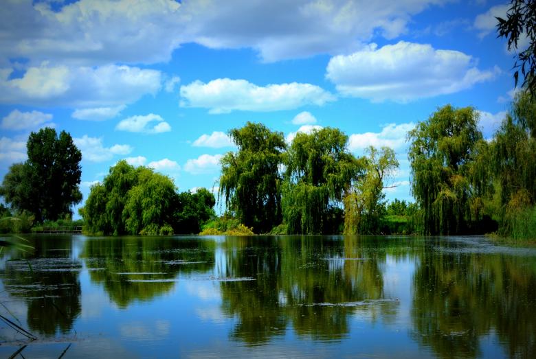 Free stock image of Nature created by Pixabay