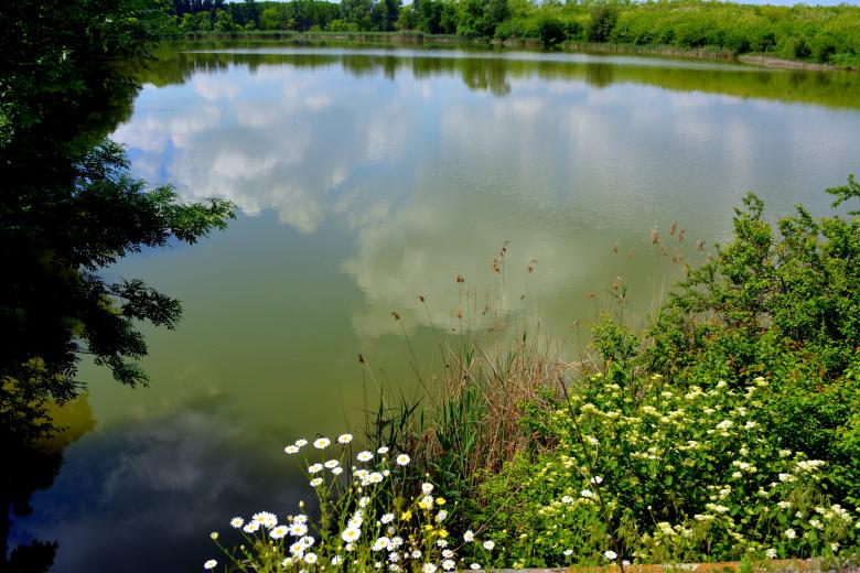 Free stock image of The Lake created by Pixabay