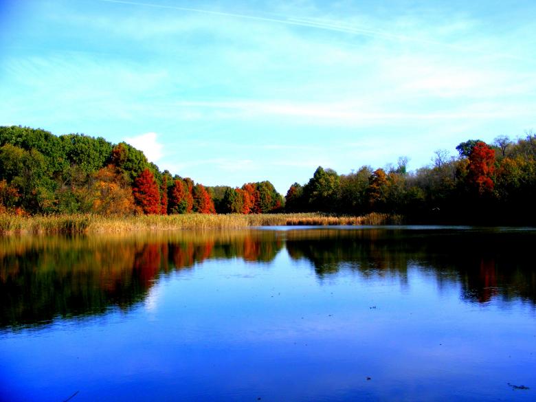 Free stock image of The Lake created by Pixabay