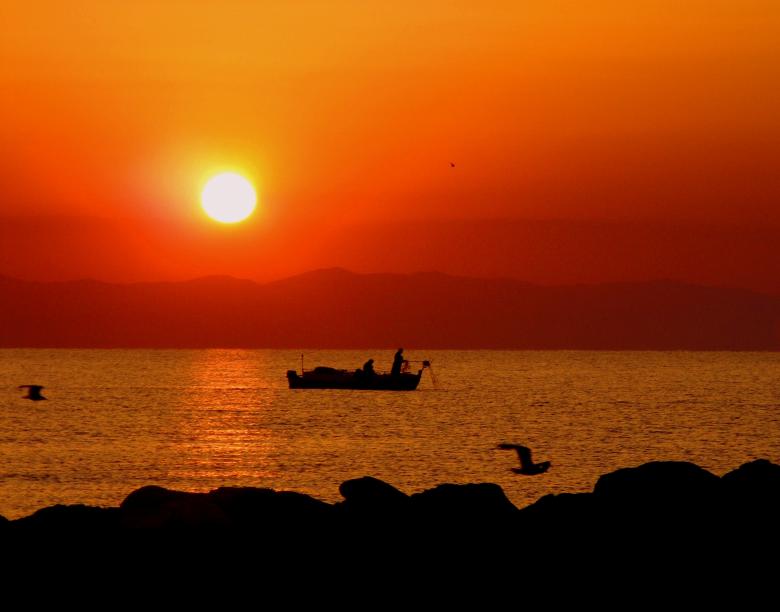 Free stock image of Sunny created by Pixabay