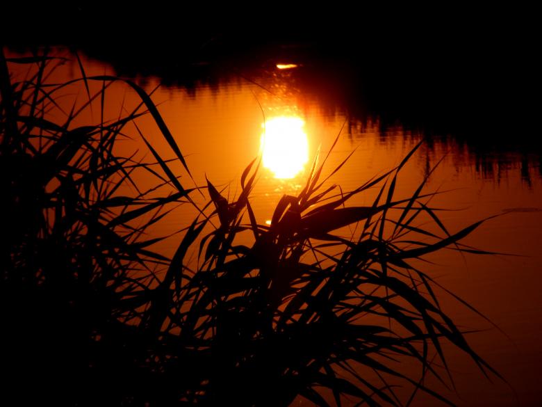 Free stock image of Reflection created by Pixabay