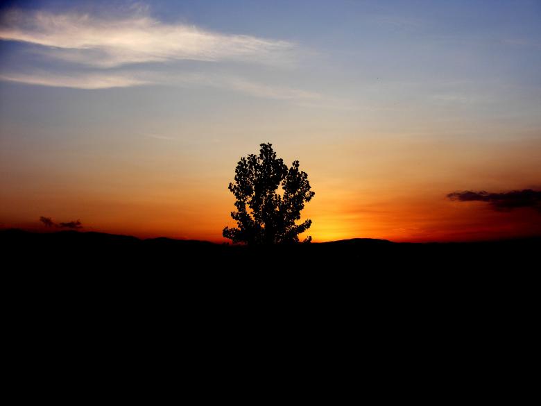 Free stock image of Nature created by Pixabay