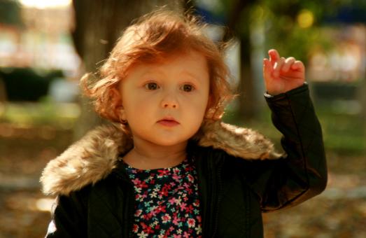 Free Stock Photo of Cute