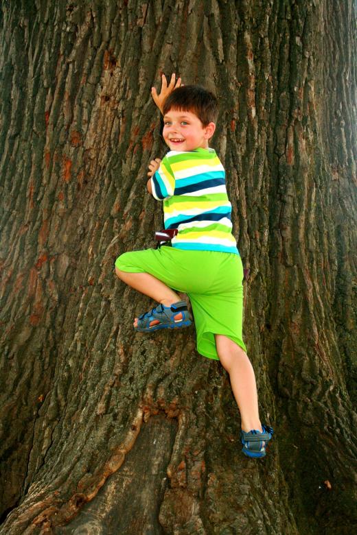 Free stock image of Climb created by Pixabay