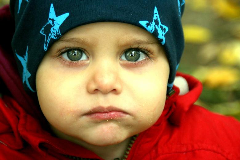 Free stock image of Adorable created by Pixabay