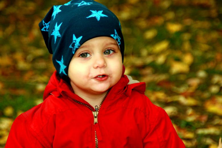Free stock image of Cute created by Pixabay