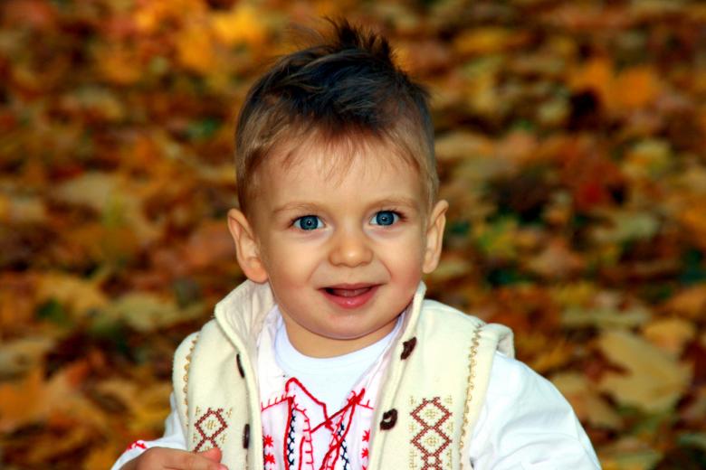 Free stock image of Autumn created by Pixabay