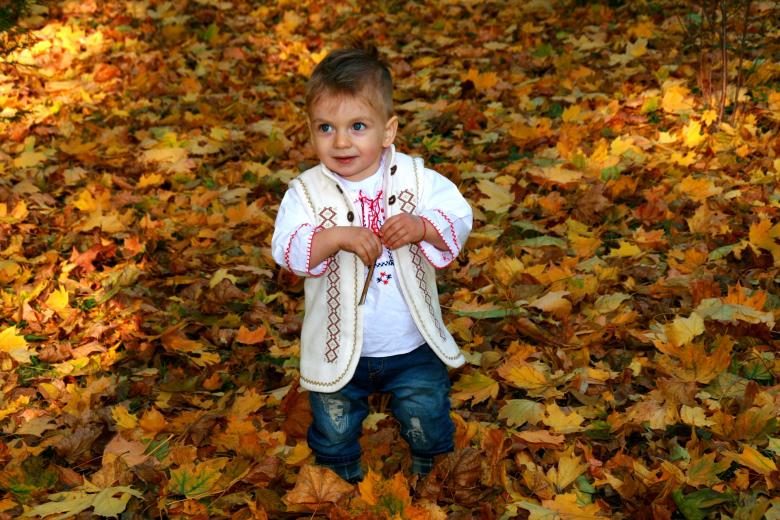 Free stock image of Autumn created by Pixabay