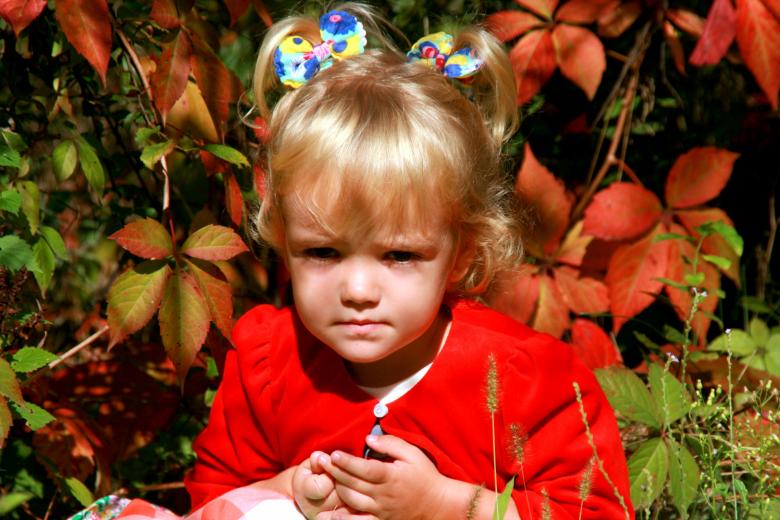 Free stock image of Girl in Red created by Pixabay