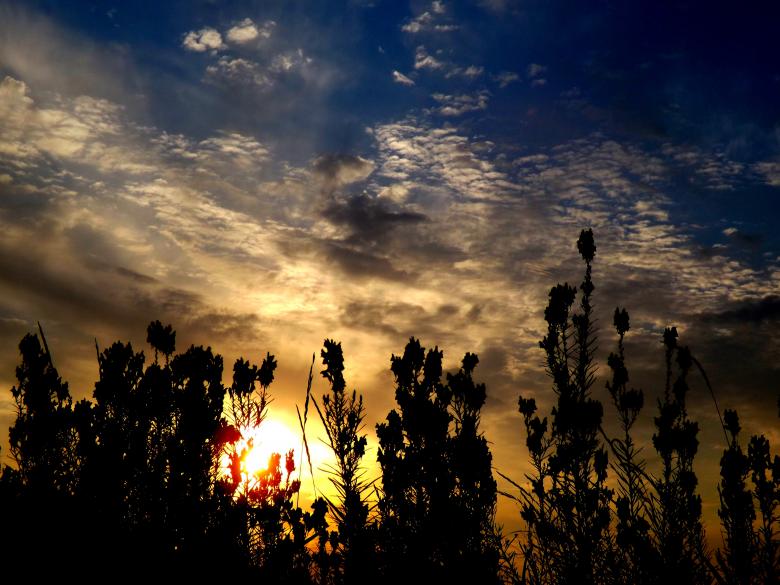 Free stock image of Sunset created by Pixabay