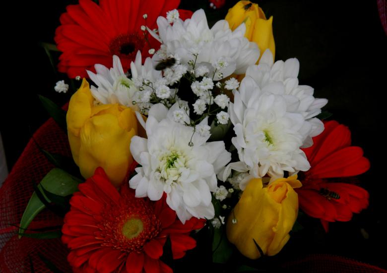 Free stock image of Flowers created by Pixabay