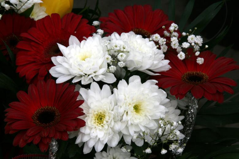 Free stock image of Flowers created by Pixabay