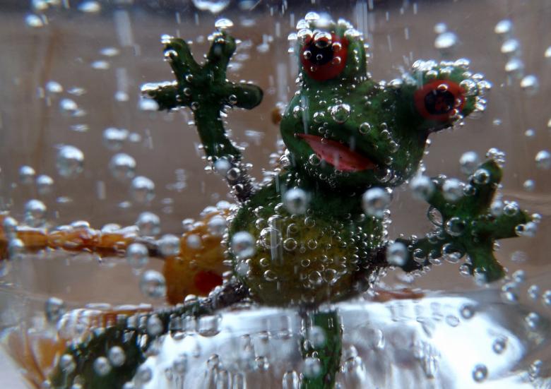 Free stock image of Frog created by Pixabay