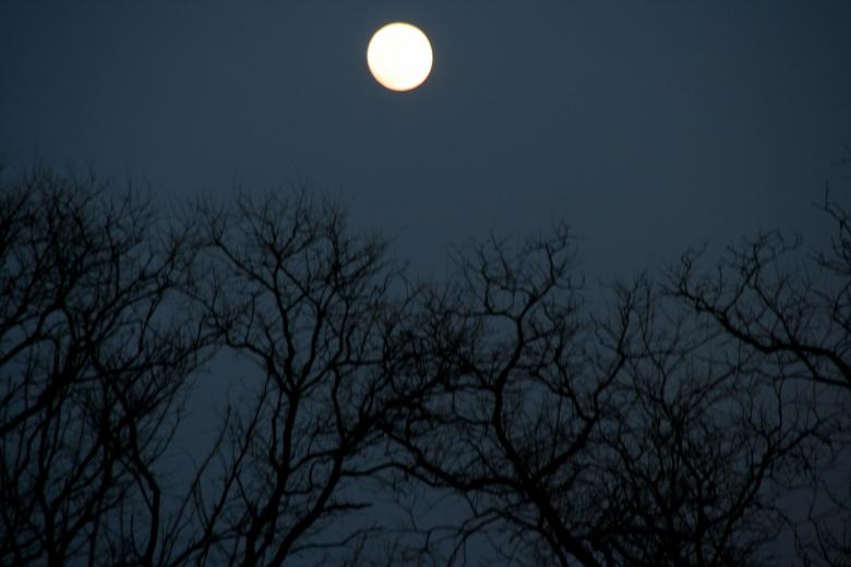 Free stock image of Moon created by Pixabay