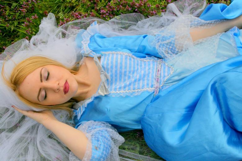 Free stock image of Sleeping Beauty created by Pixabay