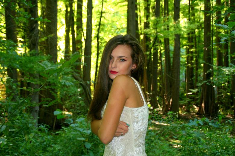 Free stock image of Into the Woods created by Pixabay