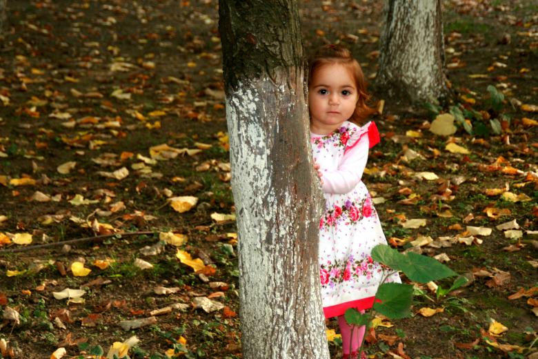 Free stock image of Adorable created by Pixabay