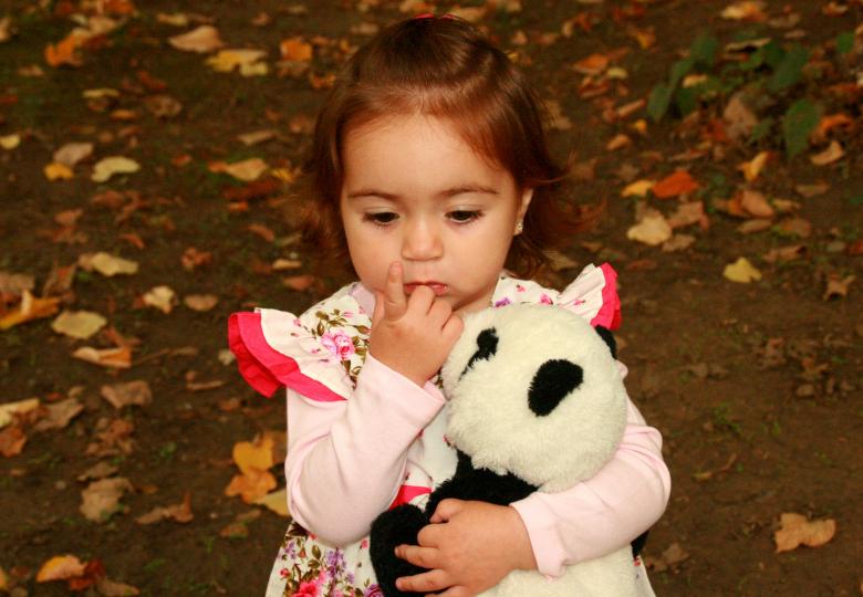 Free stock image of Adorable created by Pixabay