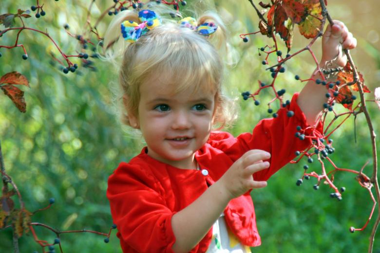 Free stock image of Little Blonde created by Pixabay