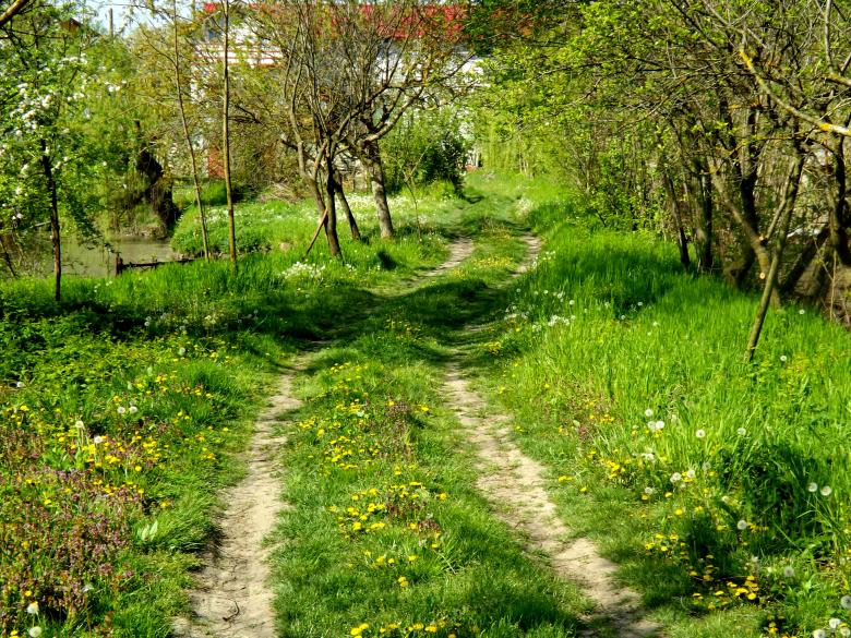 Free stock image of Path created by Pixabay