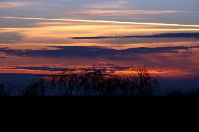 Free stock image of Sunset created by Pixabay