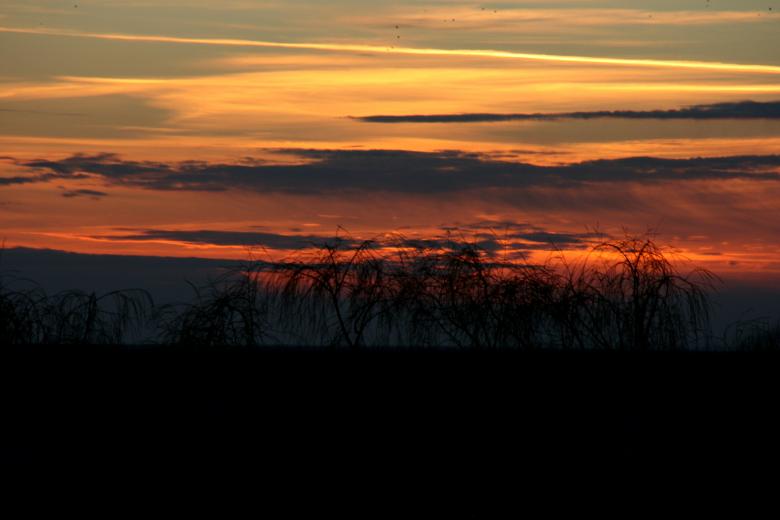 Free stock image of Sunset created by Pixabay