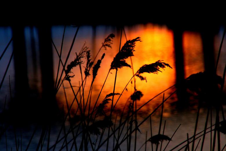 Free stock image of Sunset created by Pixabay