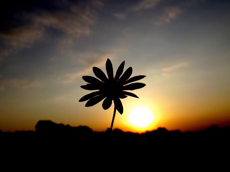 Free stock image of Sunset created by Pixabay