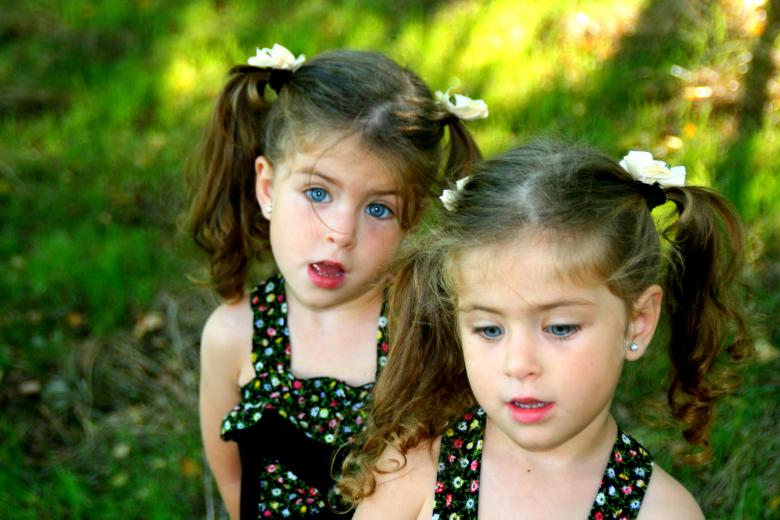 Free stock image of Sisters created by Pixabay