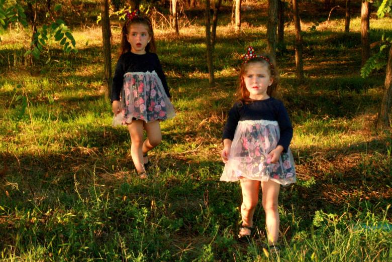 Free stock image of Sister Pose created by Pixabay