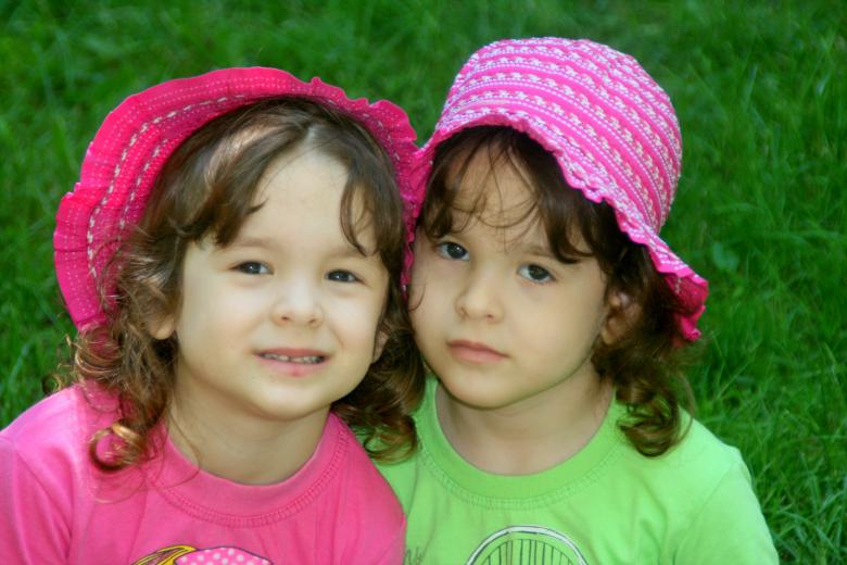 Free stock image of Twins created by Pixabay