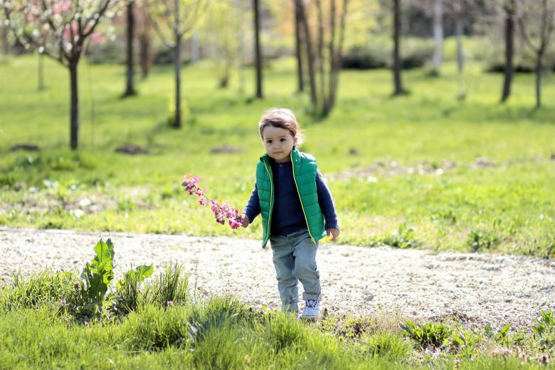 Free stock image of Little Boy created by Pixabay