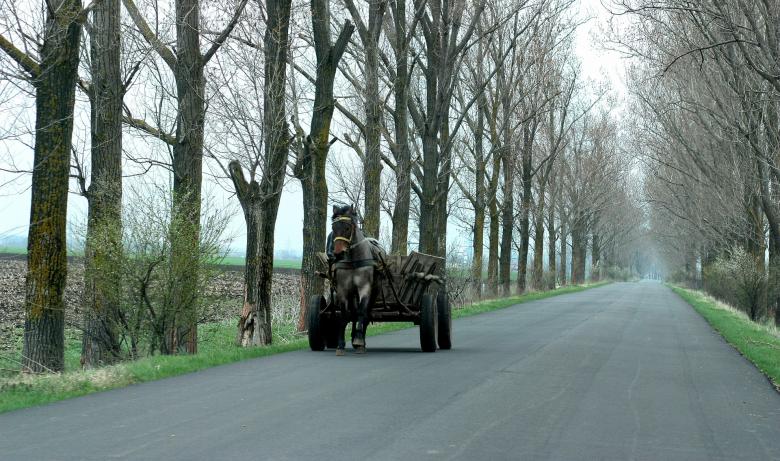 Free stock image of Cart created by Pixabay