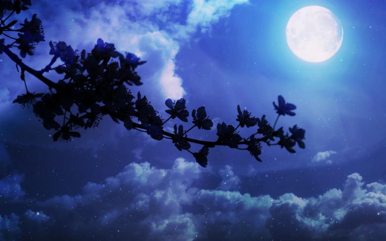 Free stock image of Night created by Pixabay