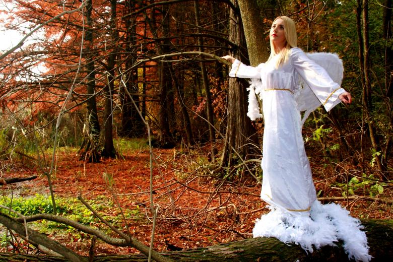 Free stock image of Angel in the Forest created by Pixabay