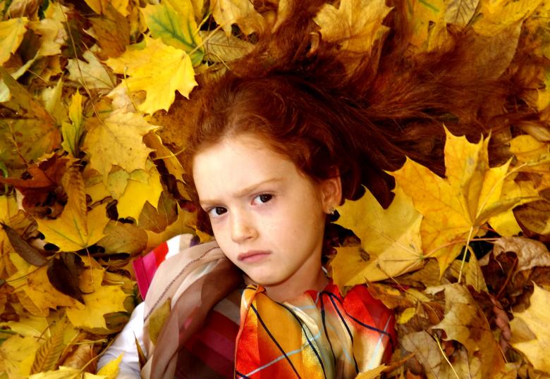 Free stock image of Leaves created by Pixabay
