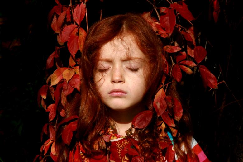 Free stock image of Little created by Pixabay