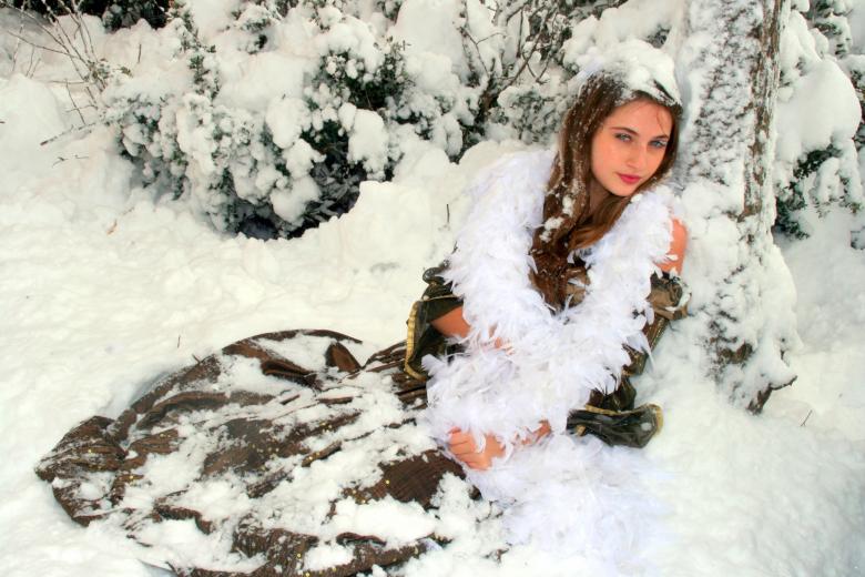 Free stock image of Covered with Snow created by Pixabay