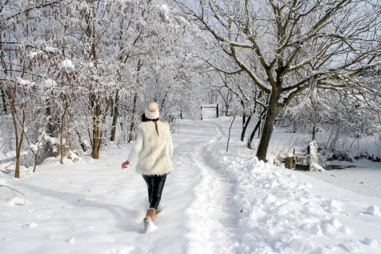 Free stock image of Path created by Pixabay