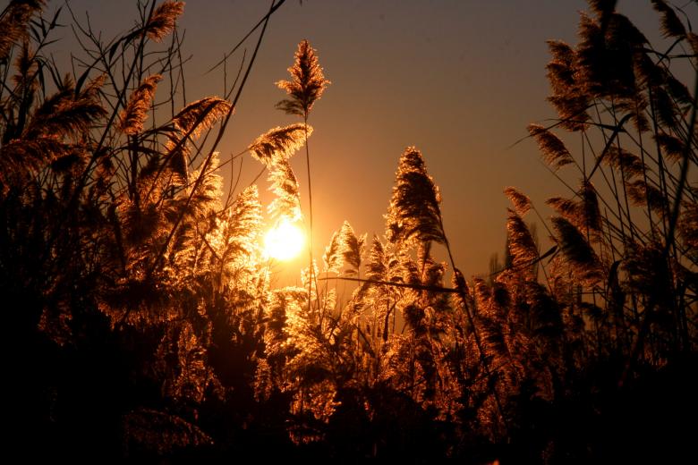Free stock image of Sunset created by Pixabay