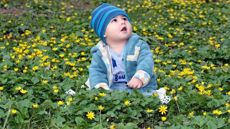 Free stock image of Little created by Pixabay