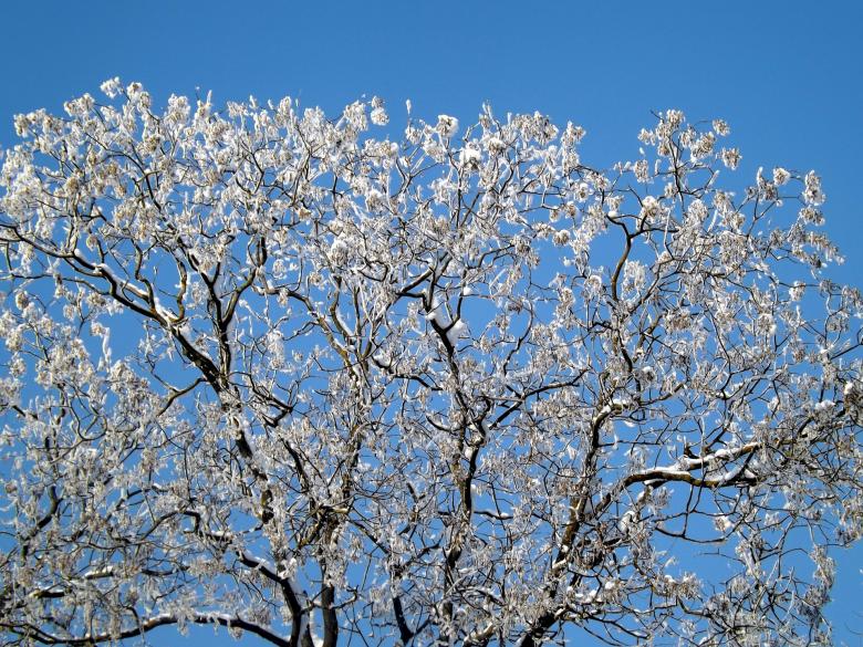 Free stock image of Winter created by Pixabay